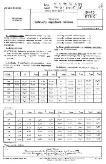 Wiertnictwo - Łańcuchy napędowe rolkowe BN-73/1775-10