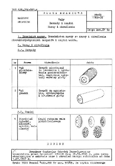 Wały - Zespoły i części - Nazwy i określenia BN-65/1900-30