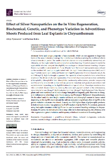 Effect of silver nanoparticles on the in vitro regeneration, biochemical, genetic, and phenotype variation in adventitious shoots produced from leaf explants in chrysanthemum