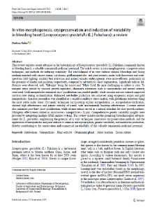 In vitro morphogenesis, cryopreservation and induction of variability in bleeding heart (Lamprocapnos spectabilis (L.) Fukuhara): A review